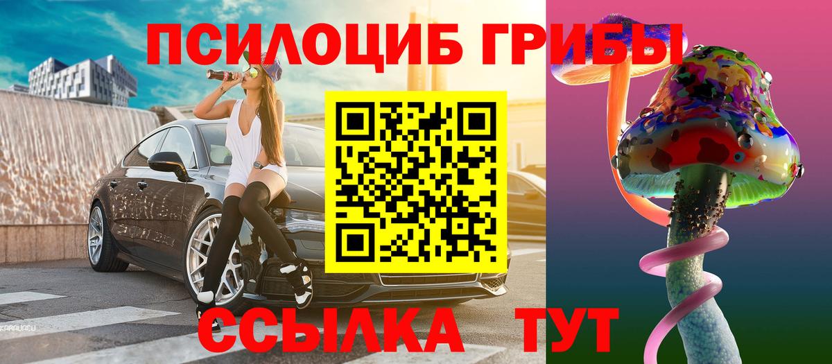 Псилоцибиновые грибы Cubensis Саянск